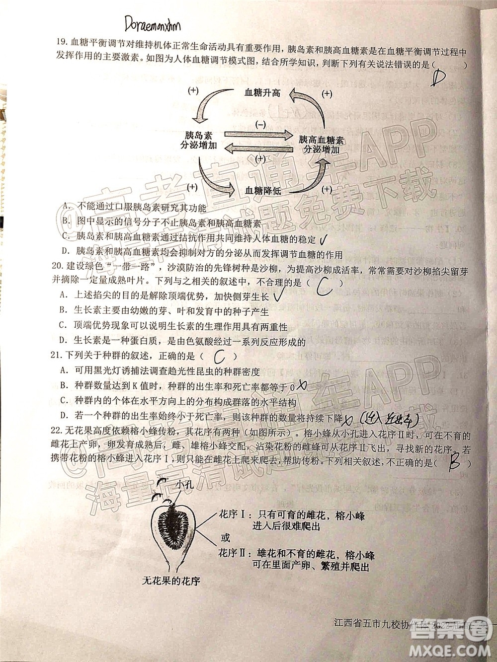 江西省五市九校協(xié)作體2022屆高三第一次聯(lián)考生物試卷及答案