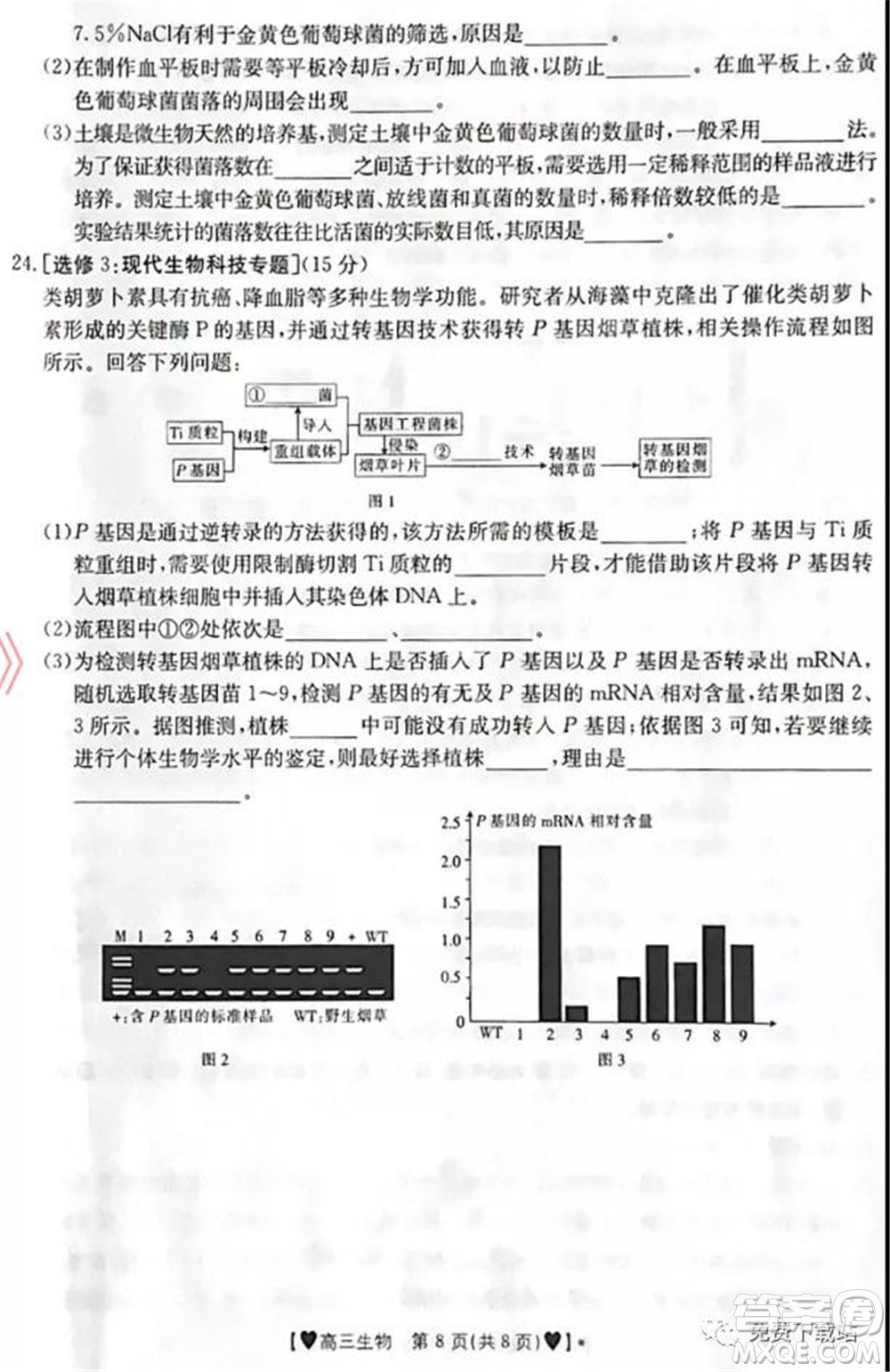 保定市2021-2022學(xué)年第一學(xué)期高三期末調(diào)研考試生物試題及答案