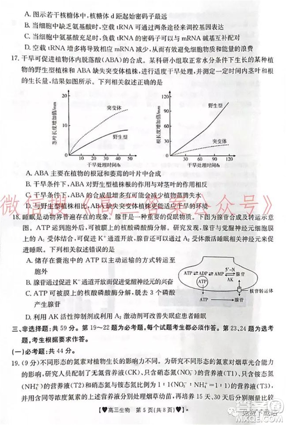 保定市2021-2022學(xué)年第一學(xué)期高三期末調(diào)研考試生物試題及答案