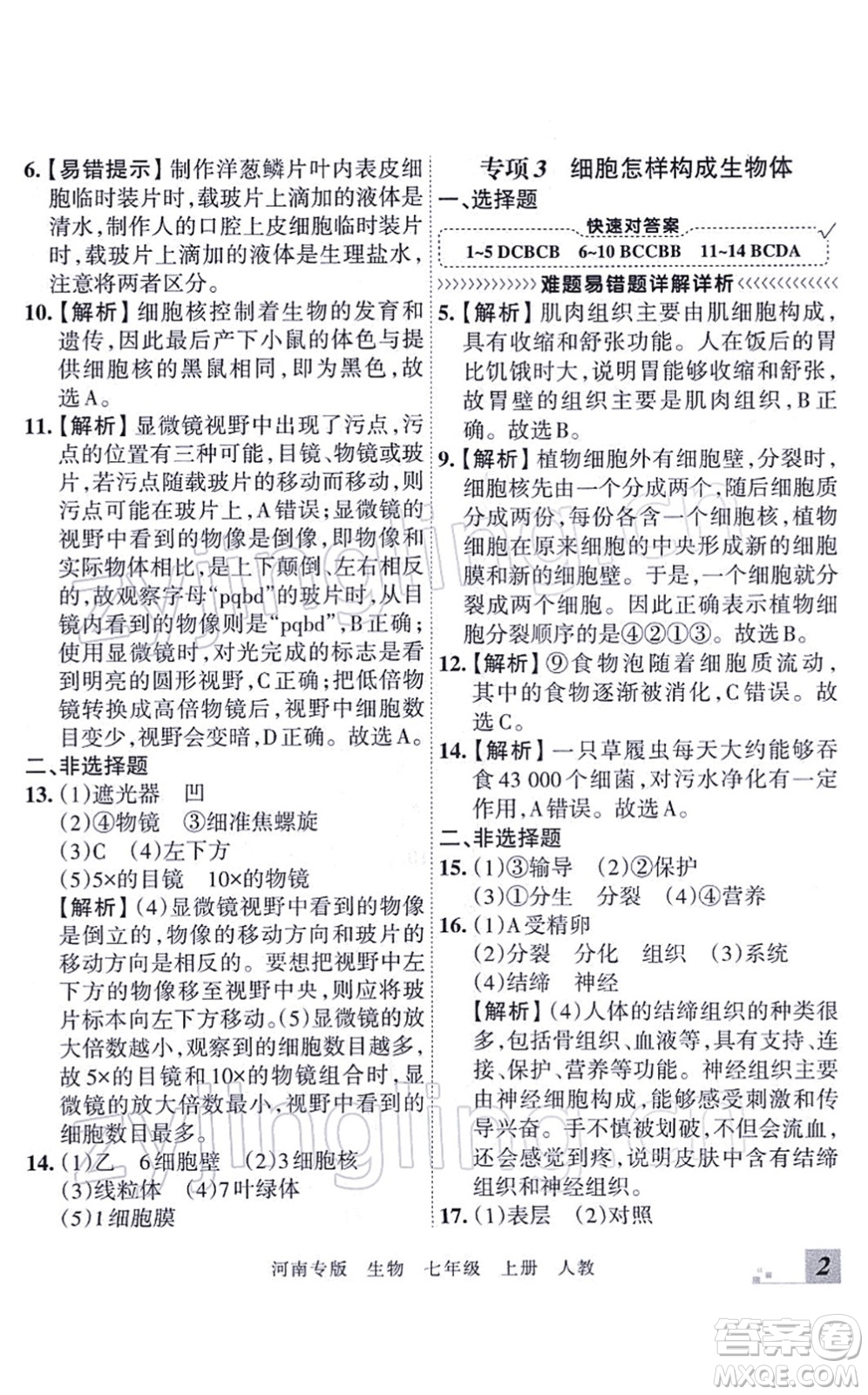 江西人民出版社2021王朝霞各地期末試卷精選七年級生物上冊RJ人教版河南專版答案