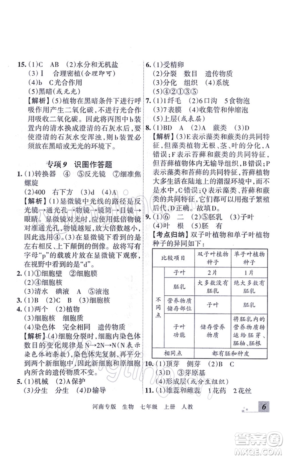 江西人民出版社2021王朝霞各地期末試卷精選七年級生物上冊RJ人教版河南專版答案