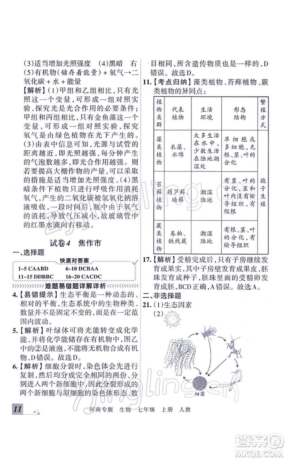 江西人民出版社2021王朝霞各地期末試卷精選七年級生物上冊RJ人教版河南專版答案