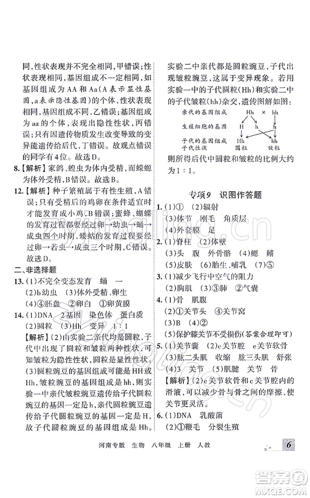 江西人民出版社2021王朝霞各地期末試卷精選八年級(jí)生物上冊(cè)RJ人教版河南專版答案