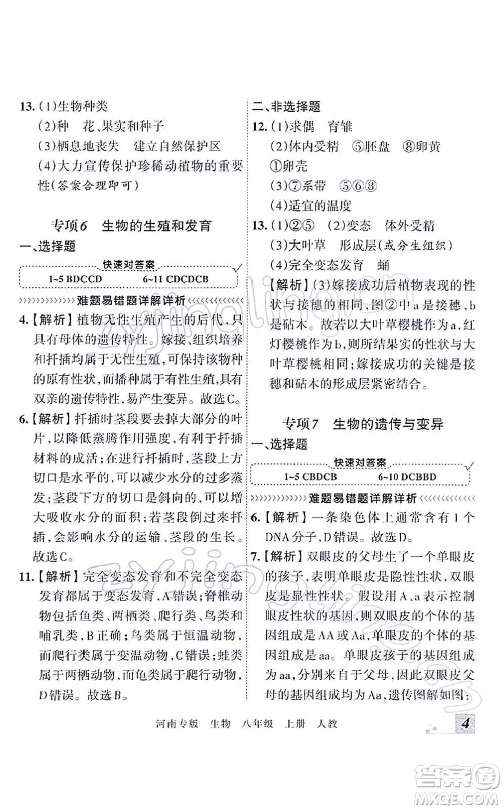 江西人民出版社2021王朝霞各地期末試卷精選八年級(jí)生物上冊(cè)RJ人教版河南專版答案