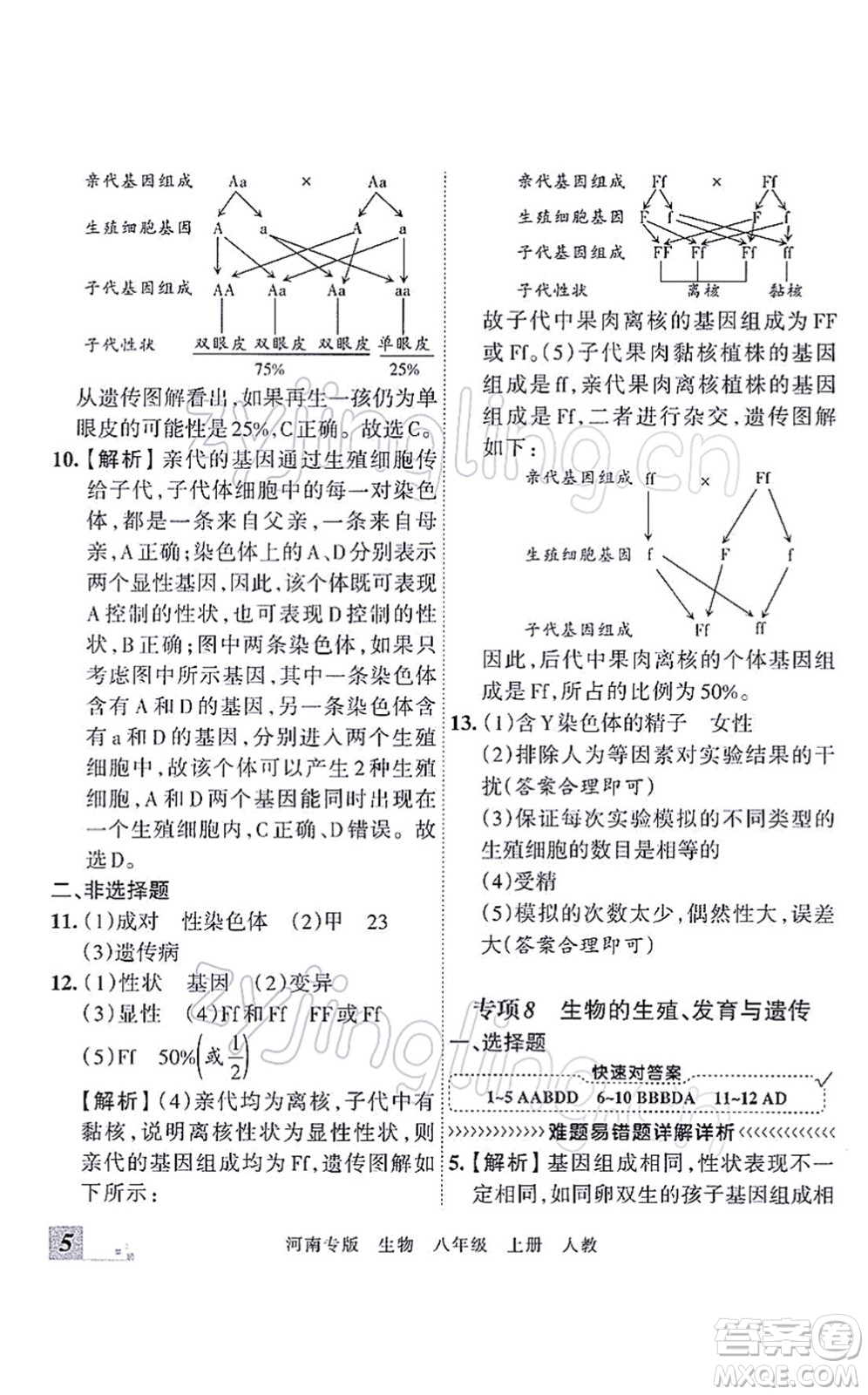 江西人民出版社2021王朝霞各地期末試卷精選八年級(jí)生物上冊(cè)RJ人教版河南專版答案