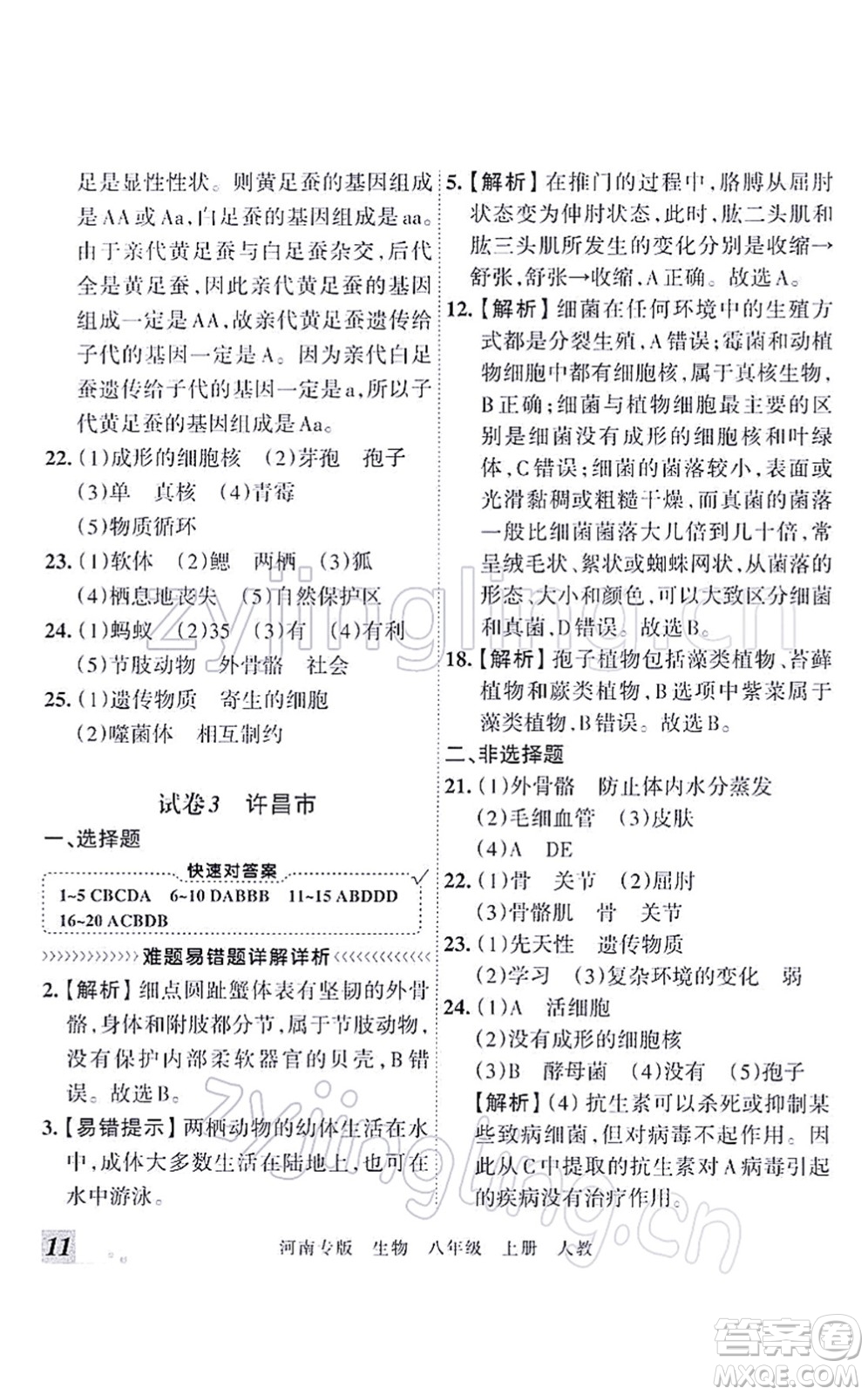 江西人民出版社2021王朝霞各地期末試卷精選八年級(jí)生物上冊(cè)RJ人教版河南專版答案