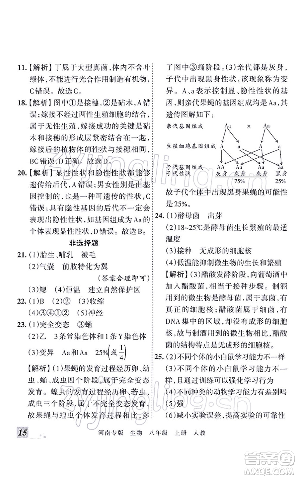 江西人民出版社2021王朝霞各地期末試卷精選八年級(jí)生物上冊(cè)RJ人教版河南專版答案