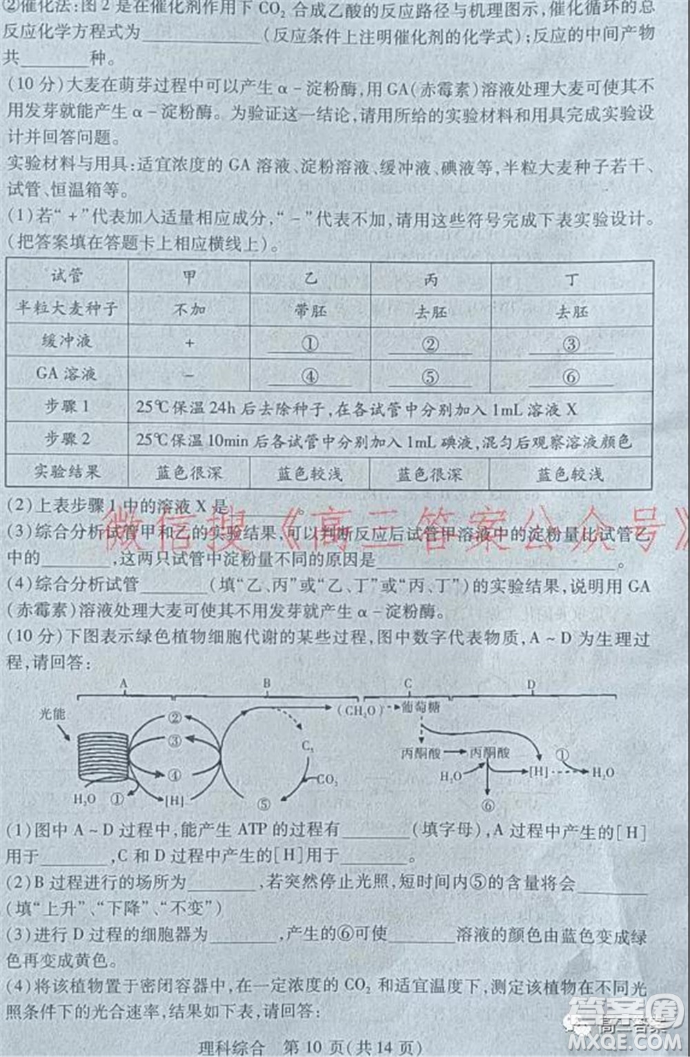 2022年寶雞市高考模擬檢測(cè)一理科綜合試題及答案