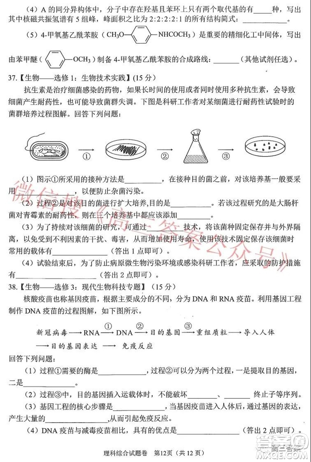 綿陽市高中2019級第二次診斷性考試理科綜合試題及答案