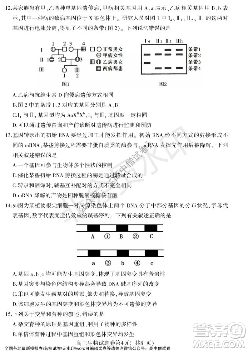 淮北市2022屆高三第一次模擬考試生物試卷及答案