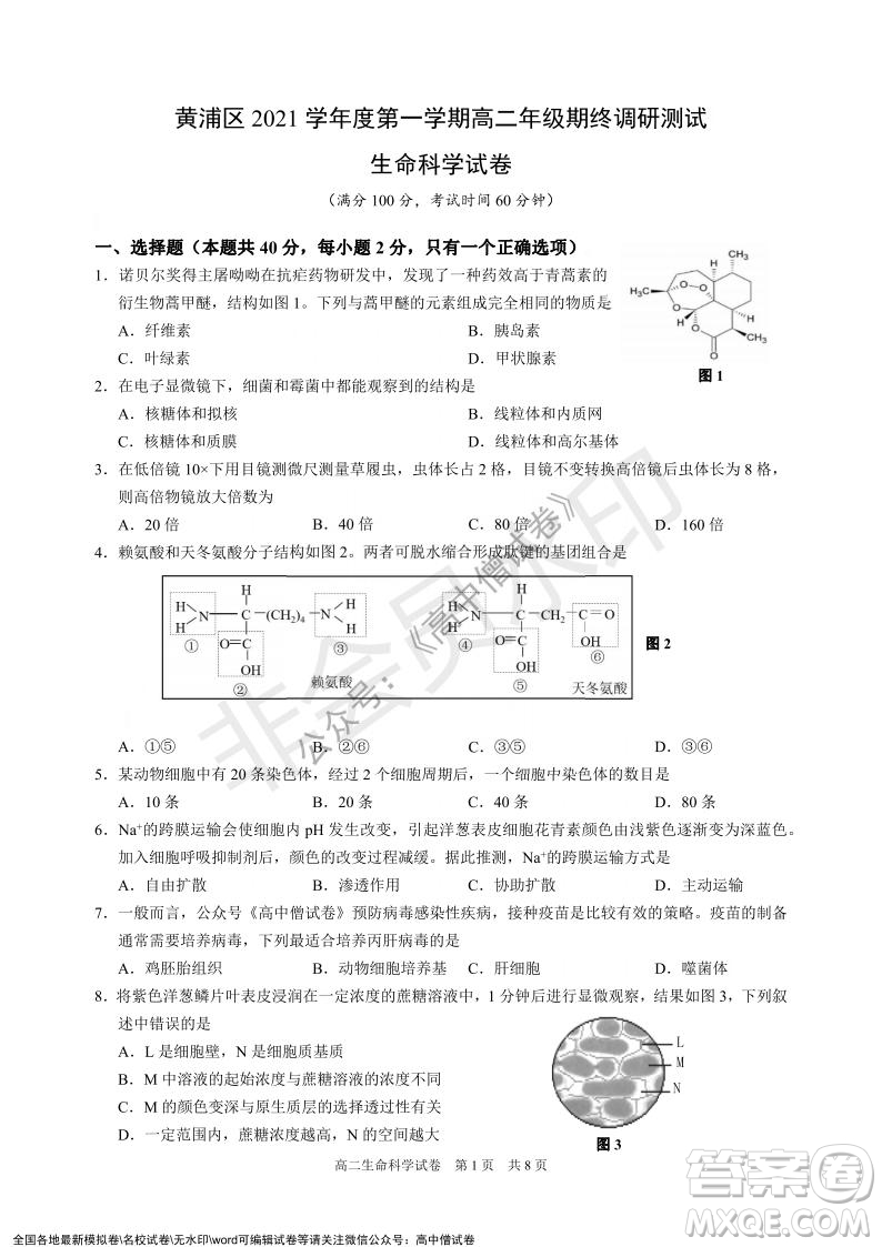 上海黃浦區(qū)2021學(xué)年度第一學(xué)期高三年級期終調(diào)研測試生命科學(xué)試題及答案