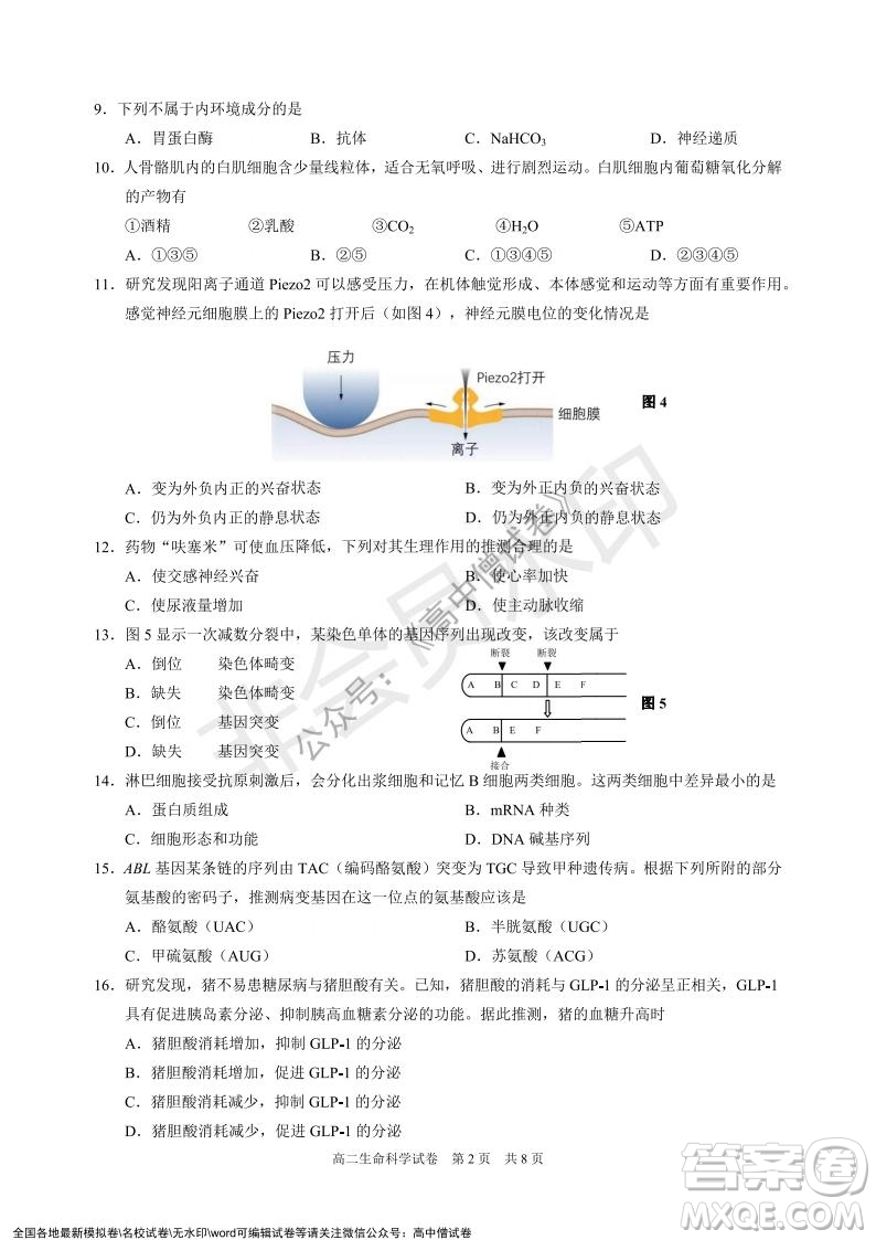 上海黃浦區(qū)2021學(xué)年度第一學(xué)期高三年級期終調(diào)研測試生命科學(xué)試題及答案