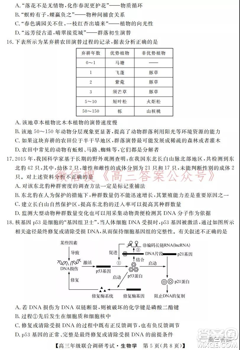 湖北省部分市州2022年元月高三年級(jí)聯(lián)合調(diào)研考試生物學(xué)試題及答案