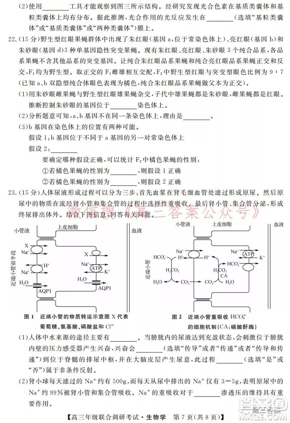 湖北省部分市州2022年元月高三年級(jí)聯(lián)合調(diào)研考試生物學(xué)試題及答案