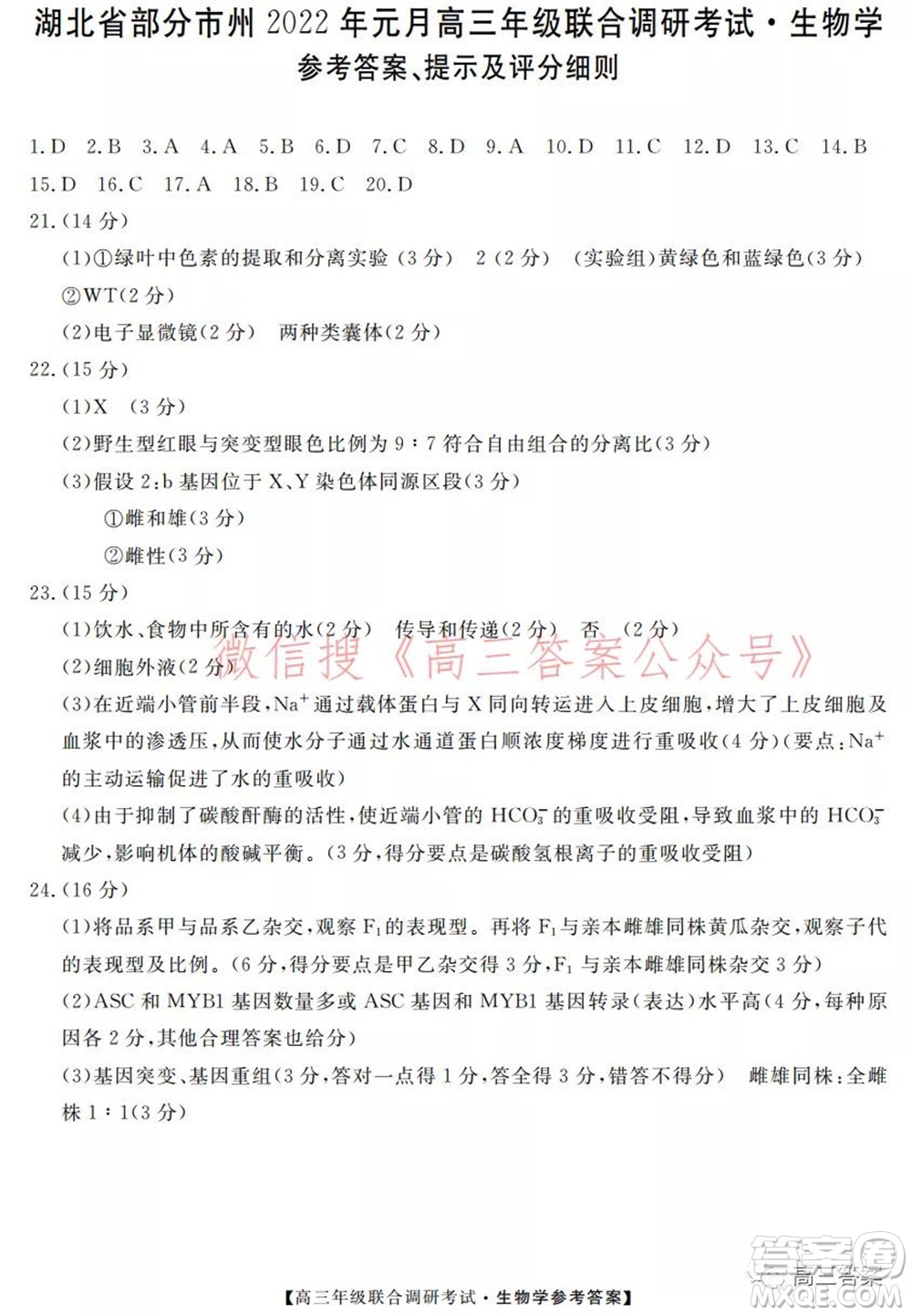 湖北省部分市州2022年元月高三年級(jí)聯(lián)合調(diào)研考試生物學(xué)試題及答案