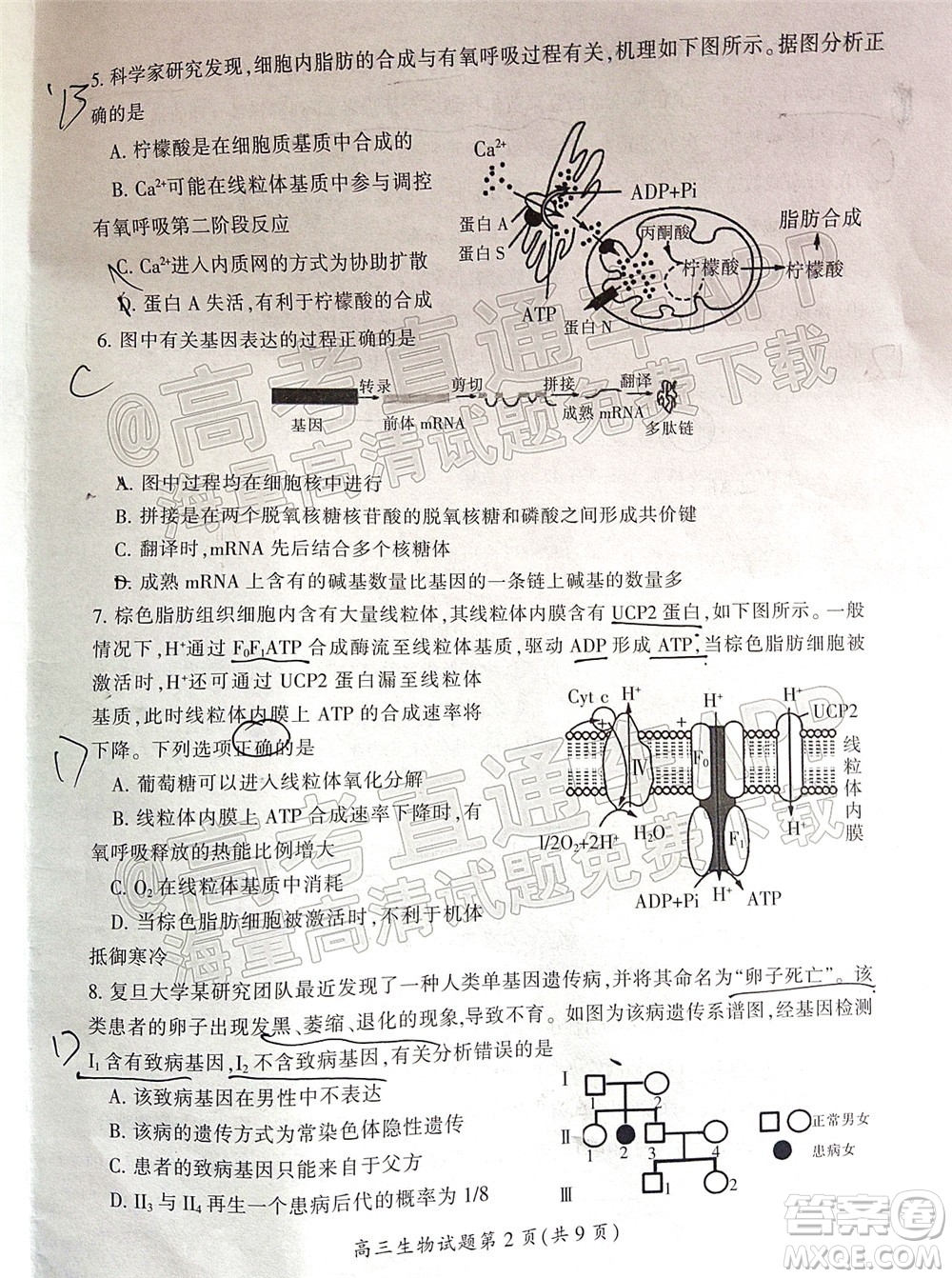 郴州市2022屆高三第二次教學質量監(jiān)測生物試題及答案