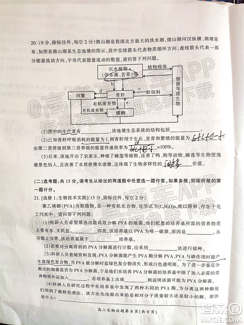 郴州市2022屆高三第二次教學質量監(jiān)測生物試題及答案