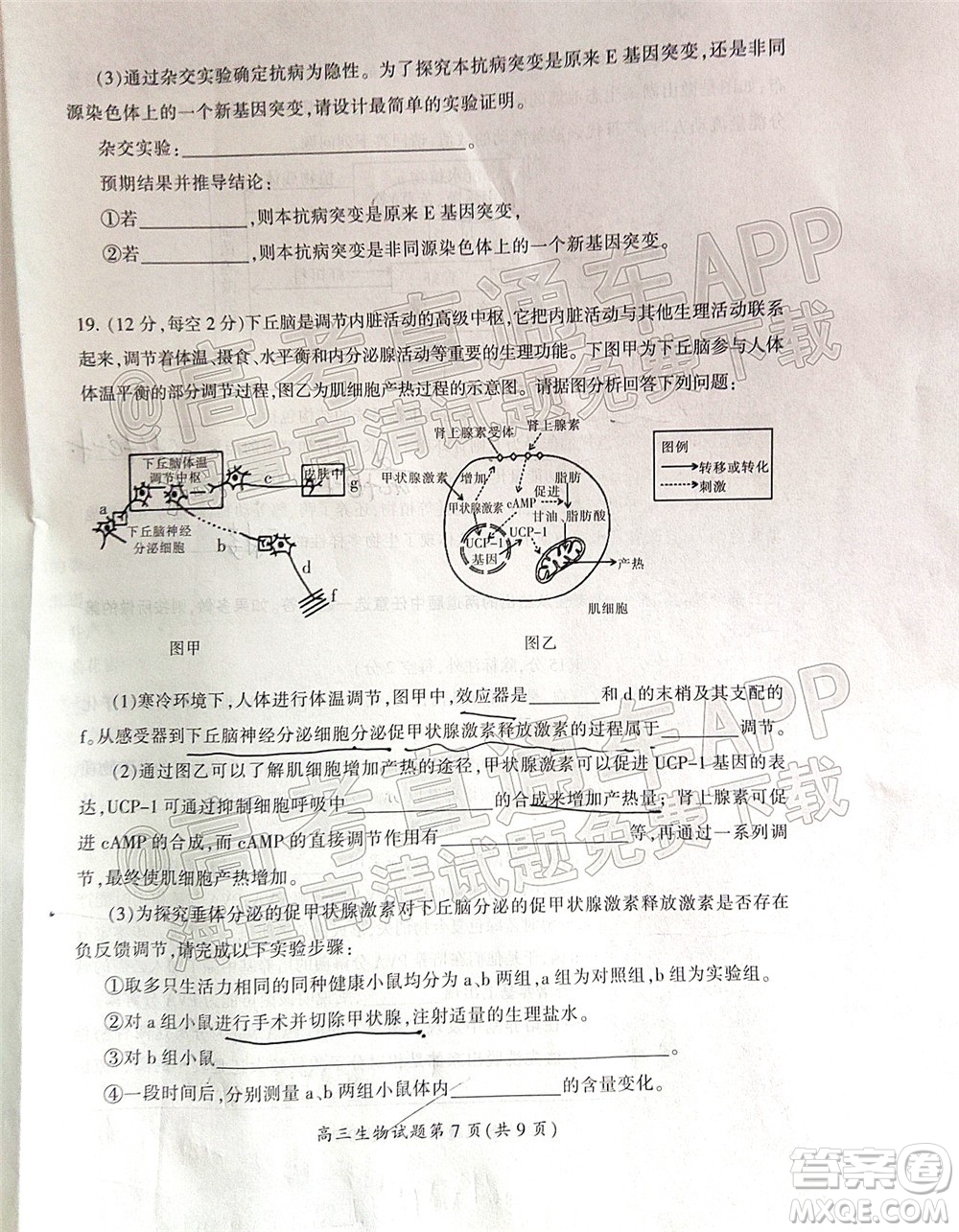 郴州市2022屆高三第二次教學質量監(jiān)測生物試題及答案