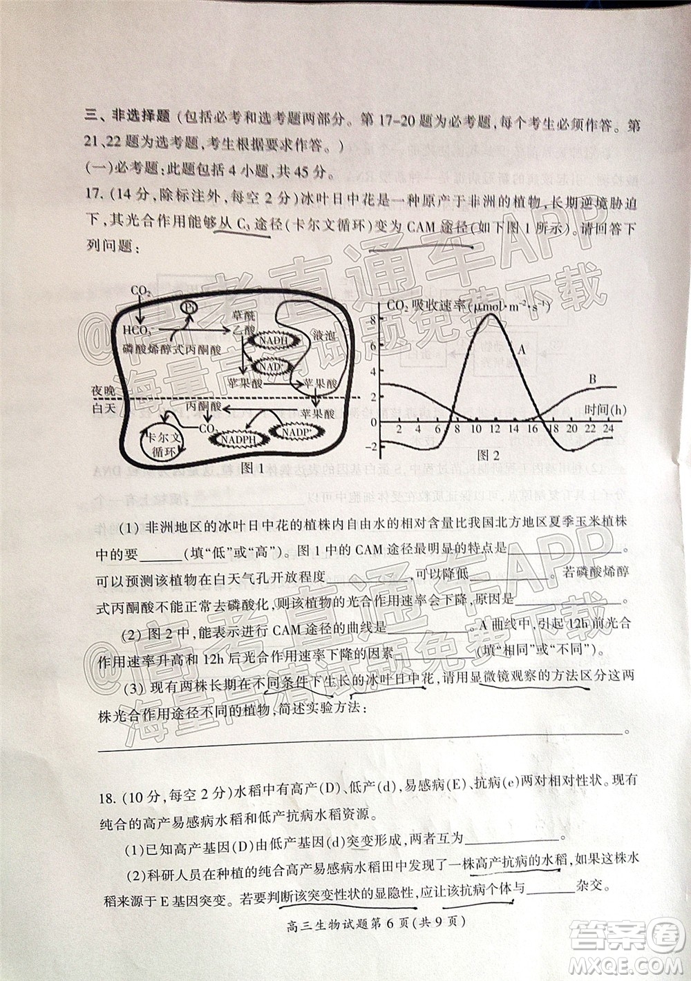 郴州市2022屆高三第二次教學質量監(jiān)測生物試題及答案