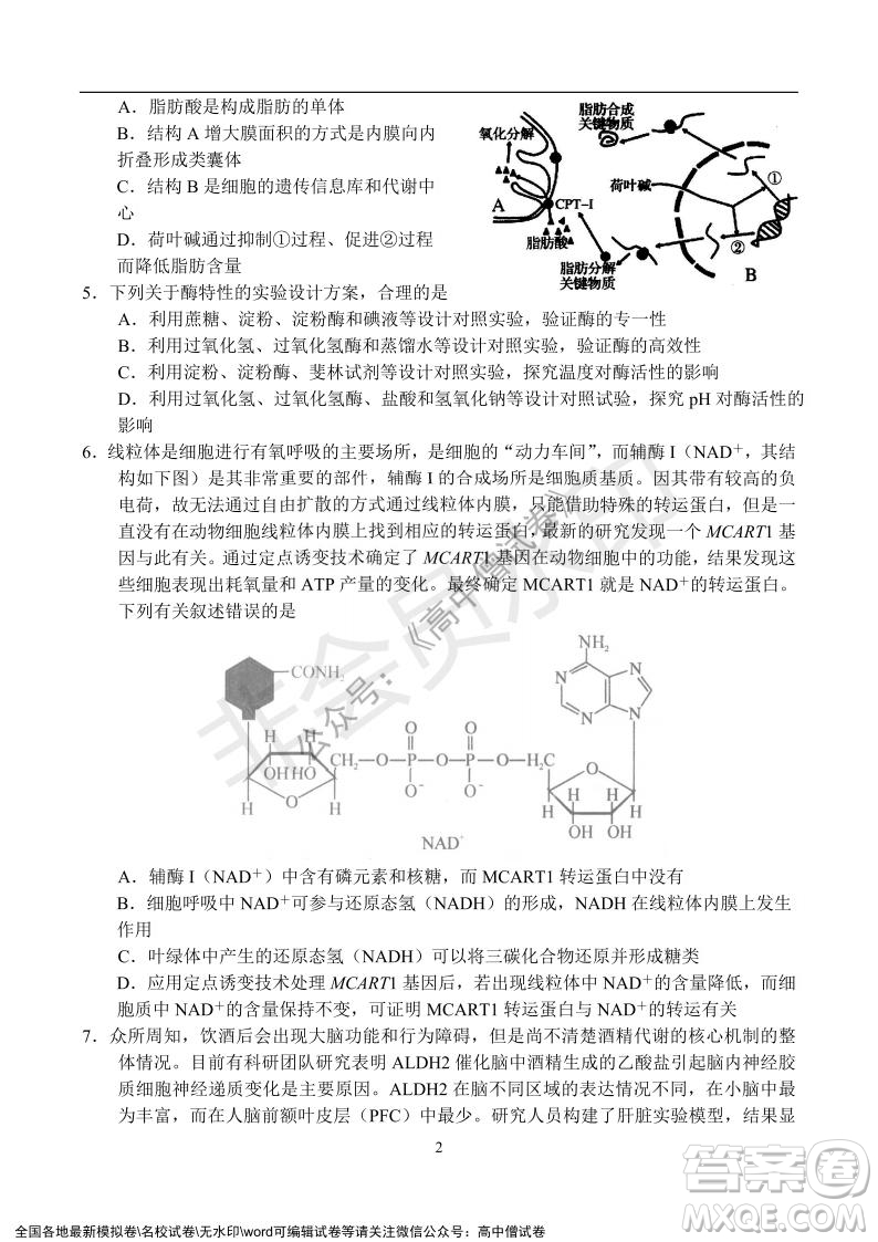 河南省名校聯(lián)盟2021-2022學年高三年級1月聯(lián)合考試生物試題及答案