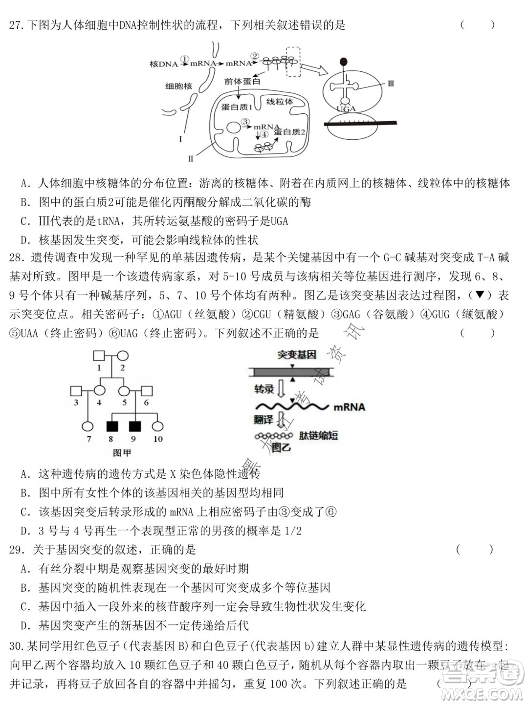 哈爾濱市第六中學(xué)2019級(jí)上學(xué)期期末考試高三生物試題及答案