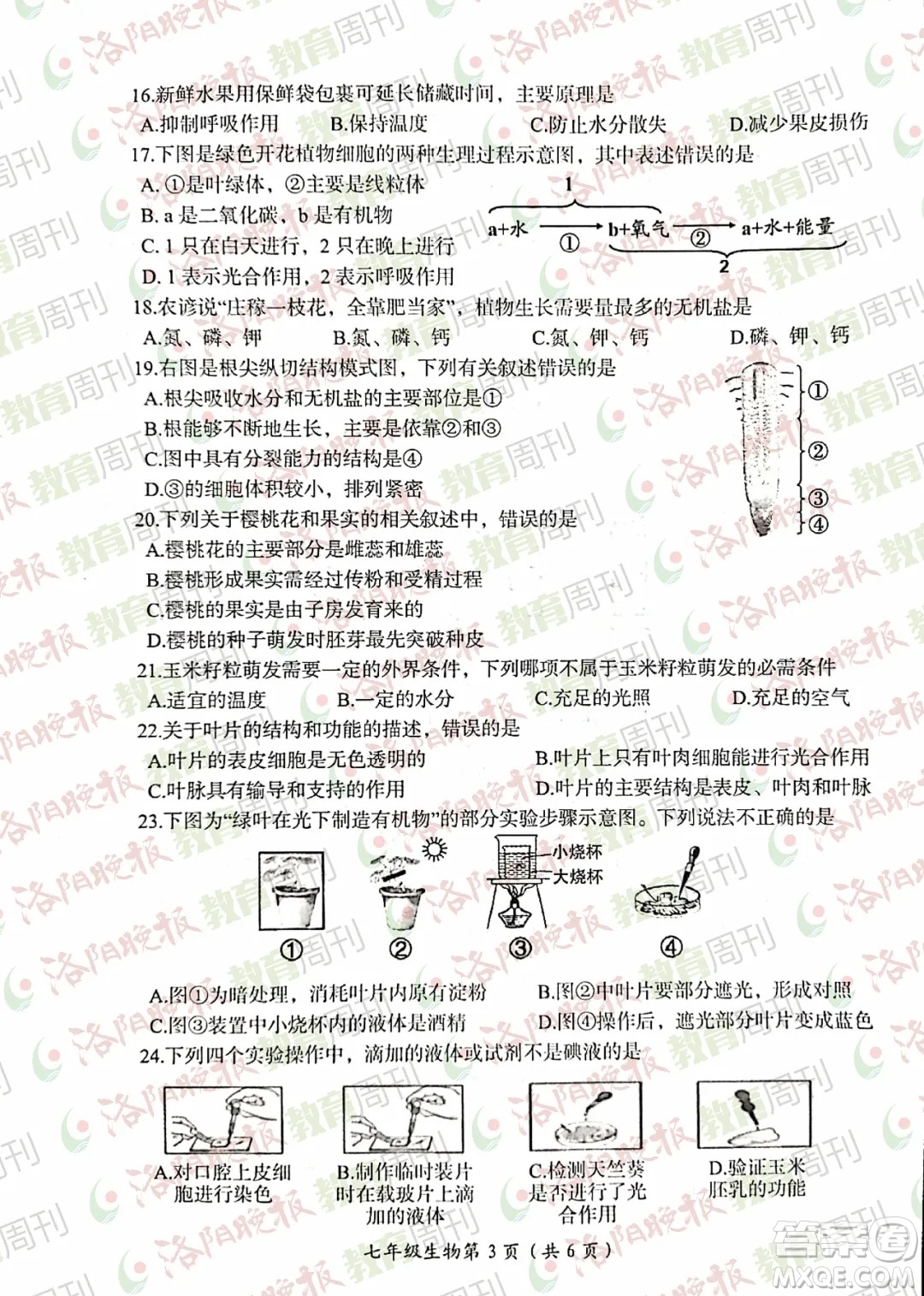 洛陽市2021-2022學(xué)年第一學(xué)期期末考試七年級生物試題及答案