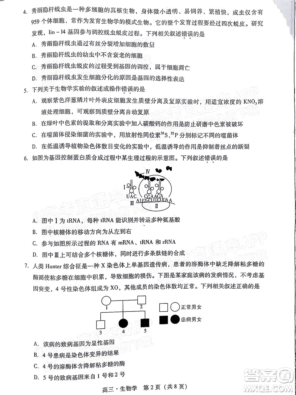 汕尾市2022屆高三學生調(diào)研考試生物學試題及答案