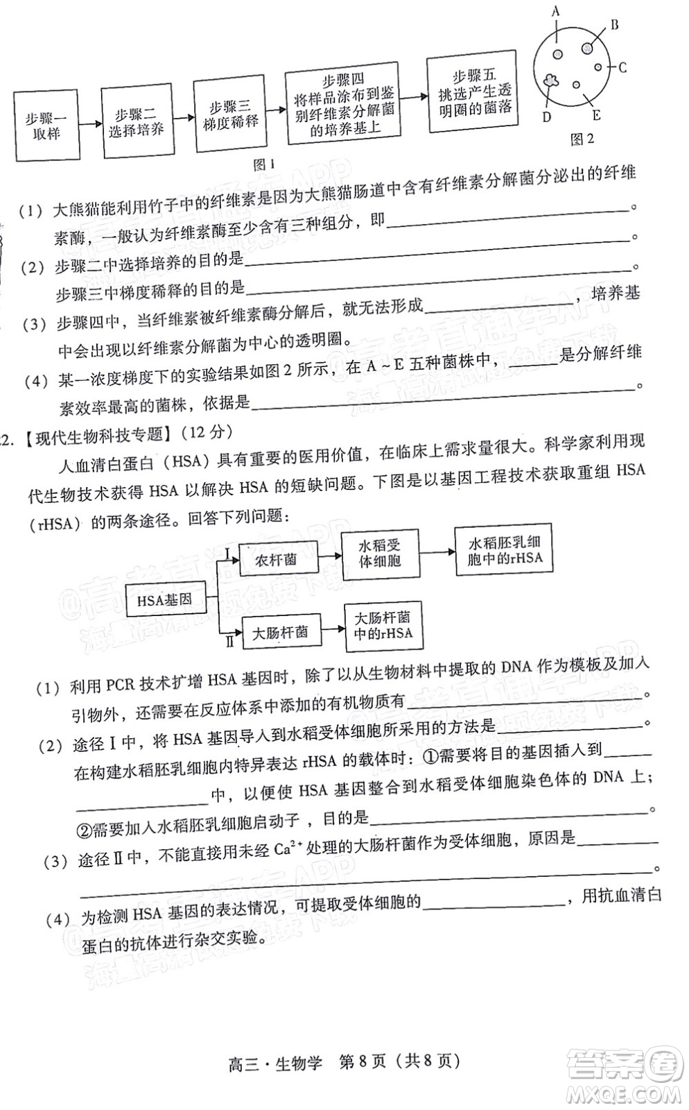 汕尾市2022屆高三學生調(diào)研考試生物學試題及答案