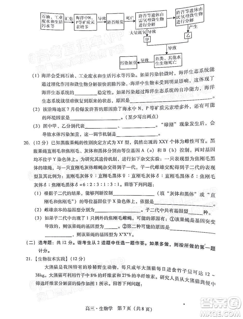 汕尾市2022屆高三學生調(diào)研考試生物學試題及答案