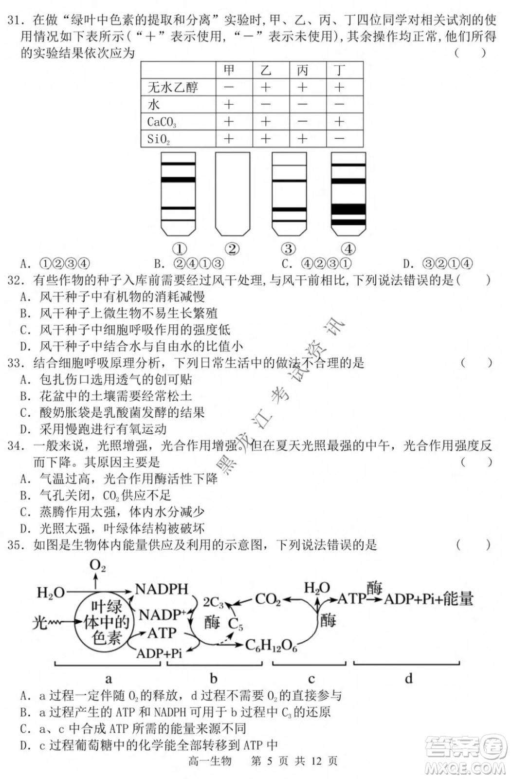 哈三中2021-2022學(xué)年度上學(xué)期高一學(xué)年第一模塊考試生物試卷及答案