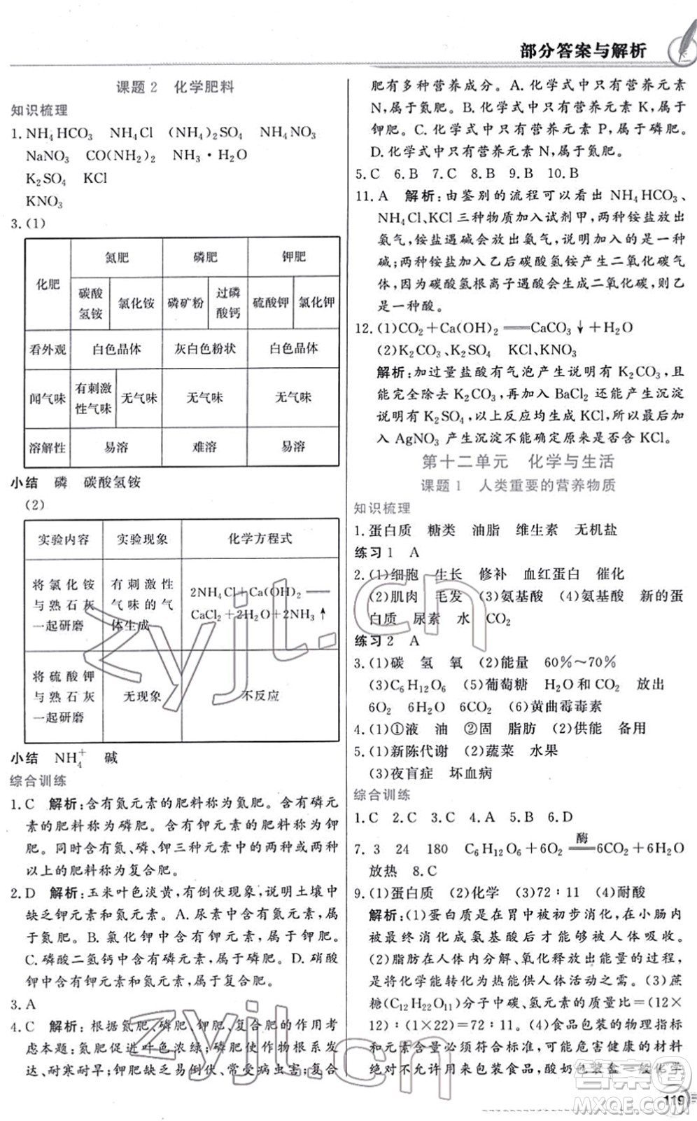 新世紀出版社2022同步導學與優(yōu)化訓練九年級化學下冊人教版答案