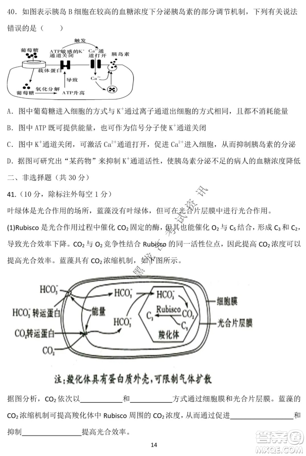 德強(qiáng)高中2021-2022學(xué)年度上學(xué)期期末驗(yàn)收考試高三學(xué)年清北生物試題及答案