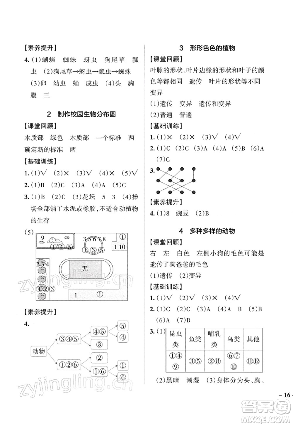 陜西師范大學(xué)出版總社2022PASS小學(xué)學(xué)霸作業(yè)本六年級(jí)科學(xué)下冊(cè)JK教科版答案