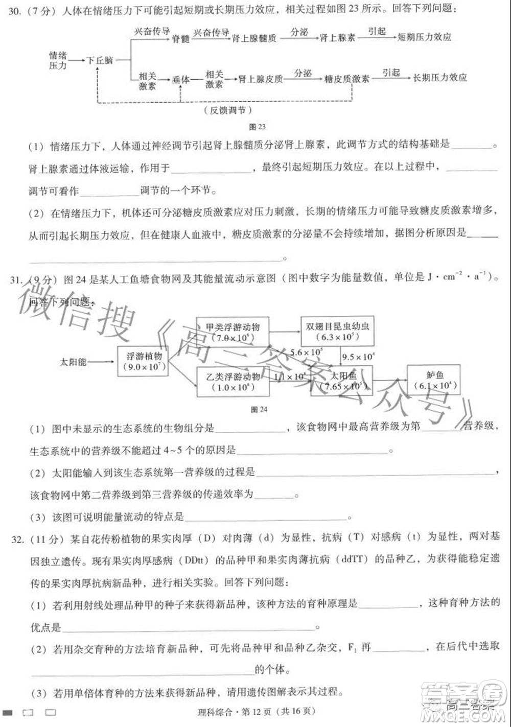 2022屆云師大附中高三適應(yīng)性月考七理科綜合試題及答案