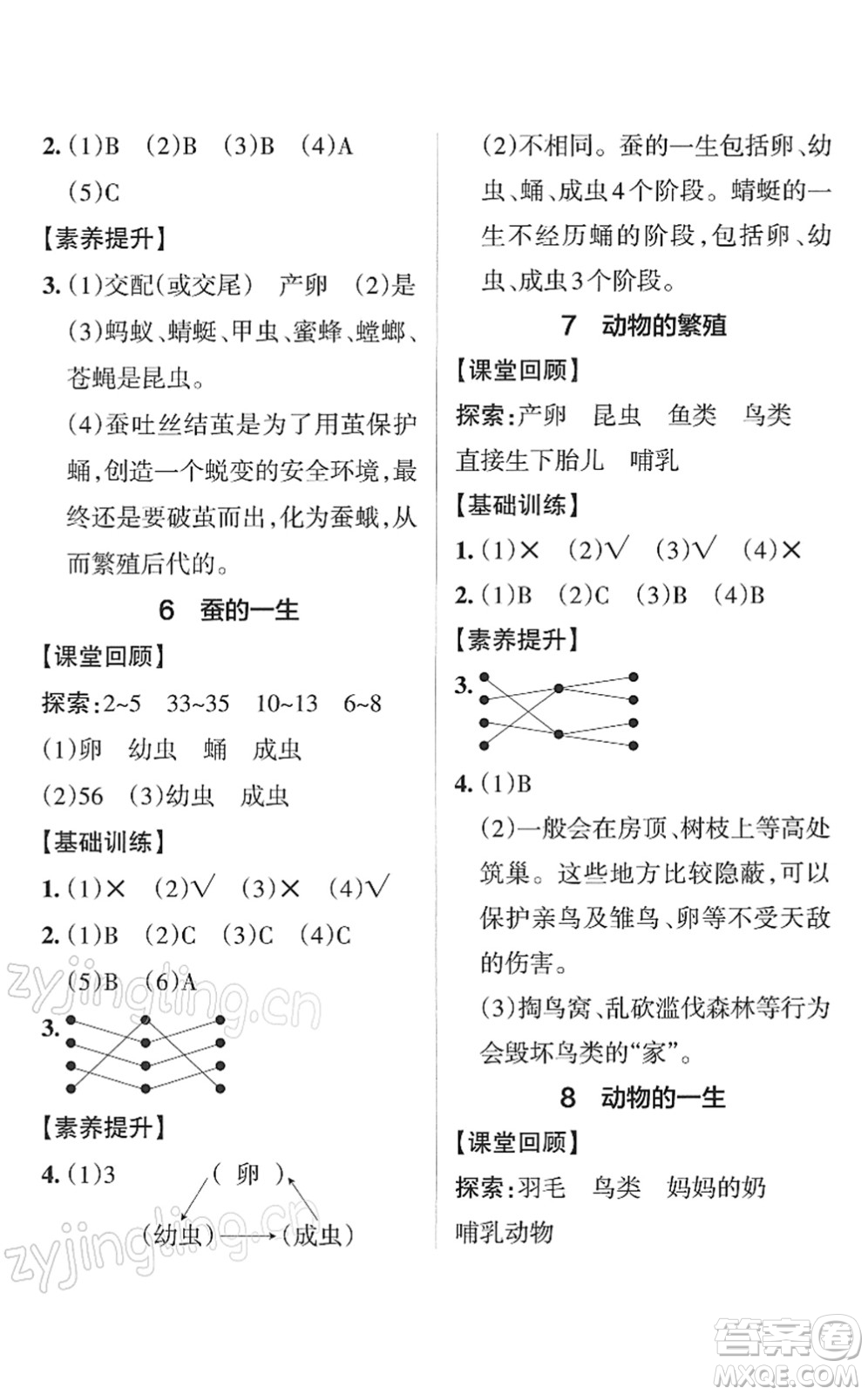 陜西師范大學(xué)出版總社2022PASS小學(xué)學(xué)霸作業(yè)本三年級科學(xué)下冊JK教科版答案