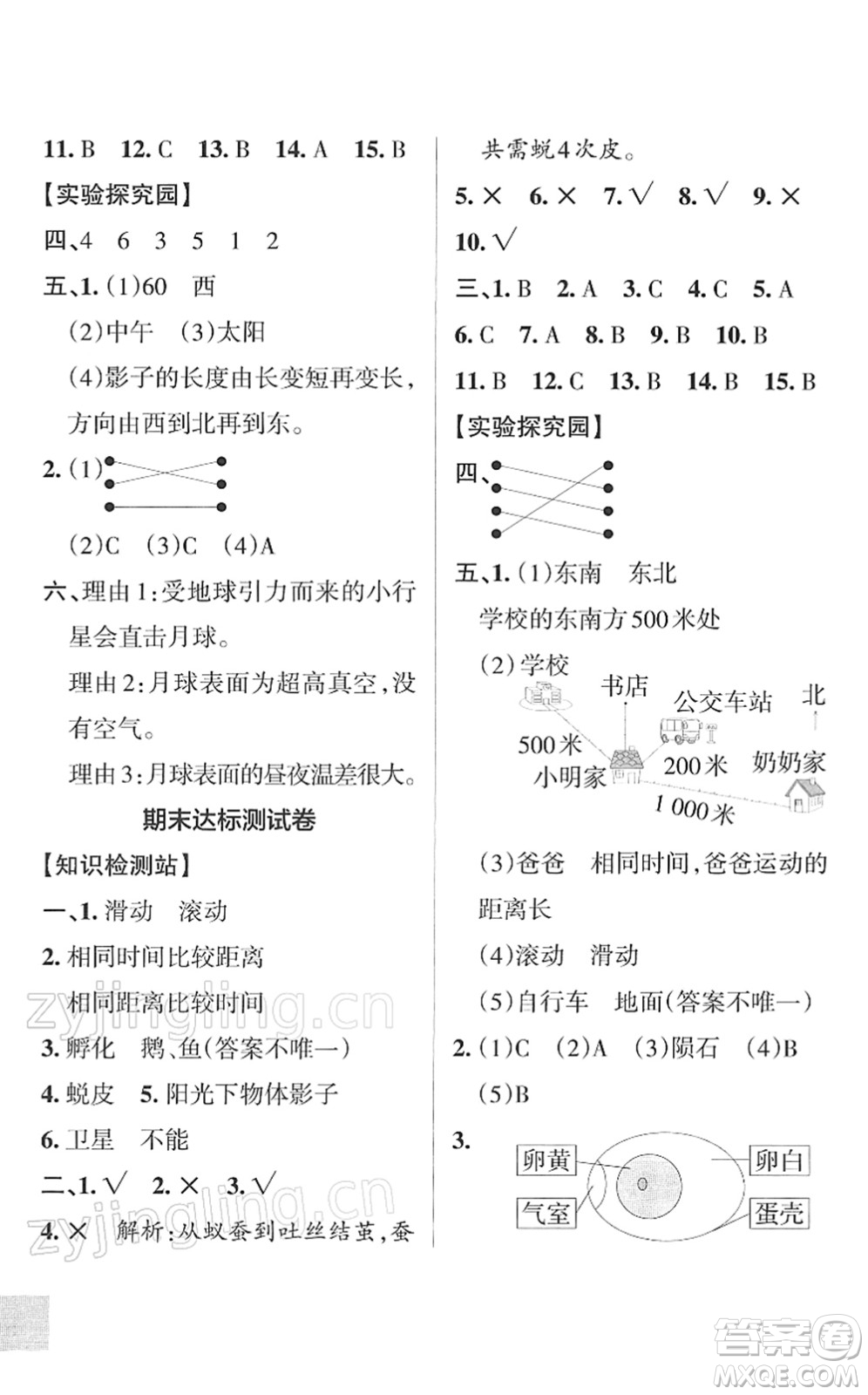 陜西師范大學(xué)出版總社2022PASS小學(xué)學(xué)霸作業(yè)本三年級科學(xué)下冊JK教科版答案