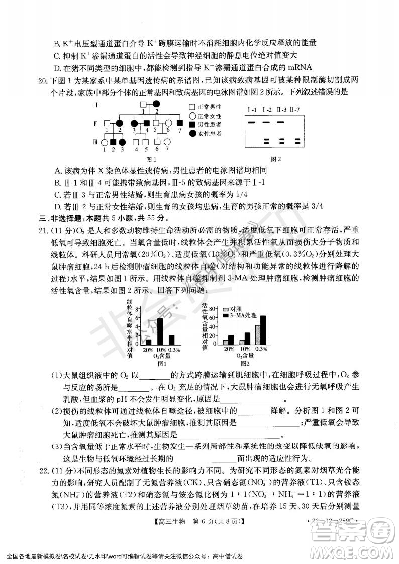 遼寧省縣級重點高中協(xié)作體2021-2022學年高三上學期期末考試生物試題及答案