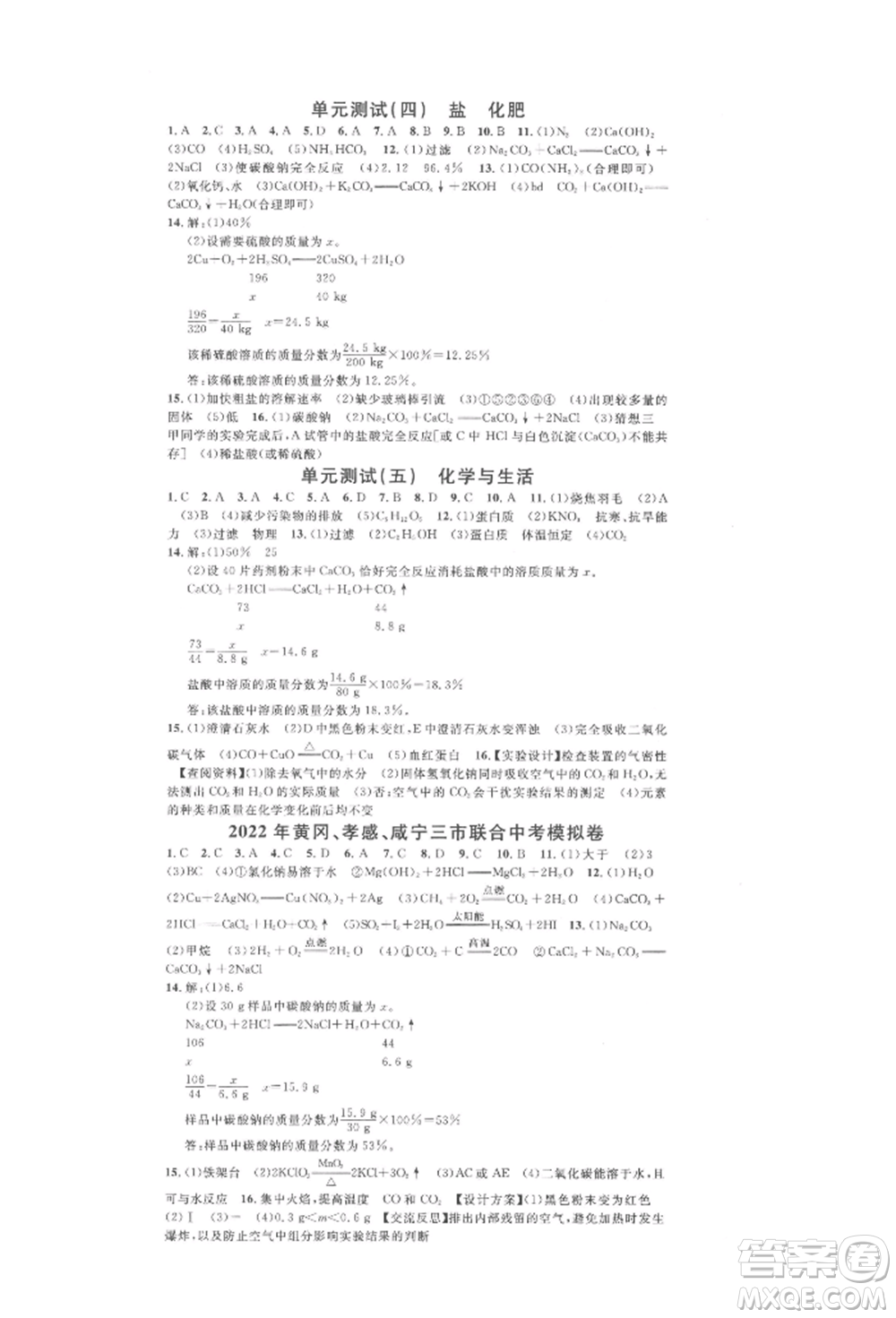 廣東經(jīng)濟出版社2022名校課堂背記手冊九年級化學下冊人教版湖北三市專版參考答案