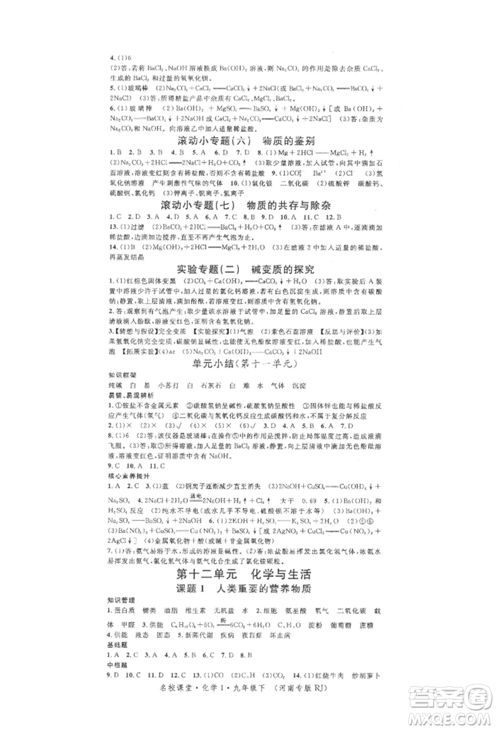 開明出版社2022名校課堂背記手冊九年級化學(xué)下冊人教版河南專版參考答案