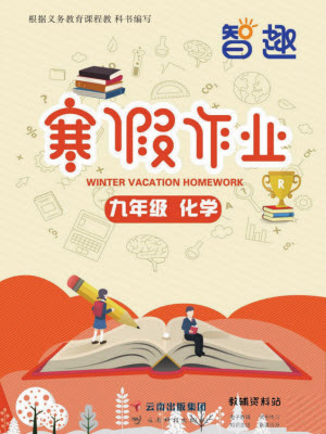 云南科技出版社2022智趣寒假作業(yè)九年級化學(xué)R人教版答案