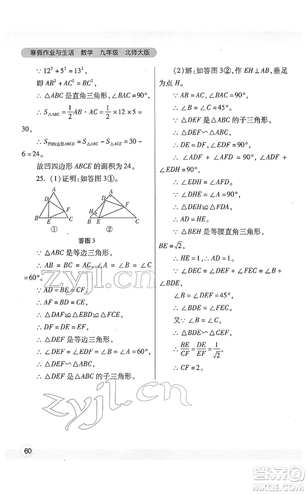 陜西師范大學出版總社2022寒假作業(yè)與生活九年級數(shù)學北師大版答案