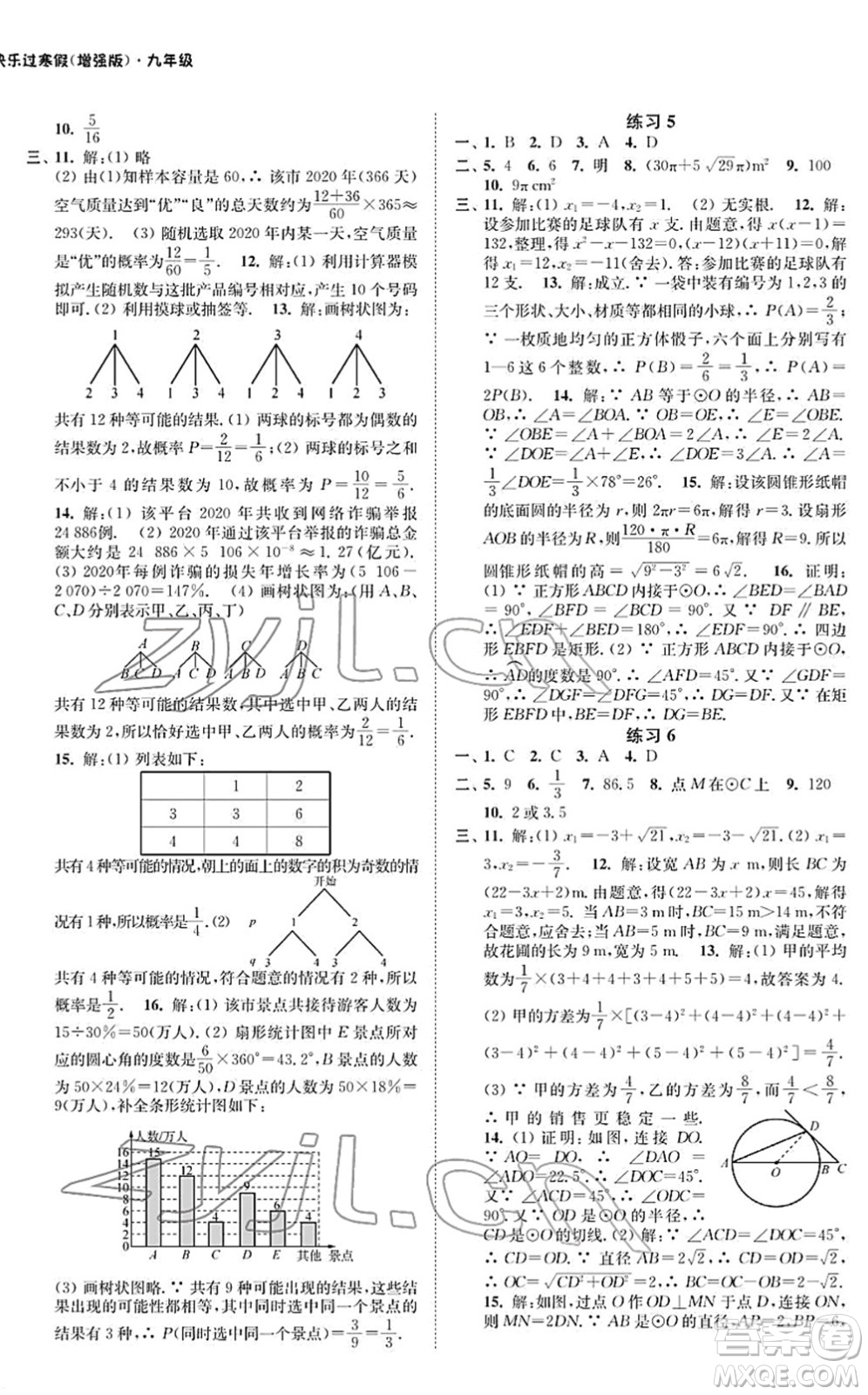 江蘇鳳凰科學(xué)技術(shù)出版社2022快樂過寒假九年級合訂本通用版增強(qiáng)版答案