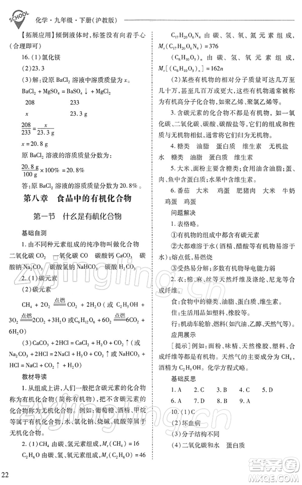 山西教育出版社2022新課程問(wèn)題解決導(dǎo)學(xué)方案九年級(jí)化學(xué)下冊(cè)滬教版答案