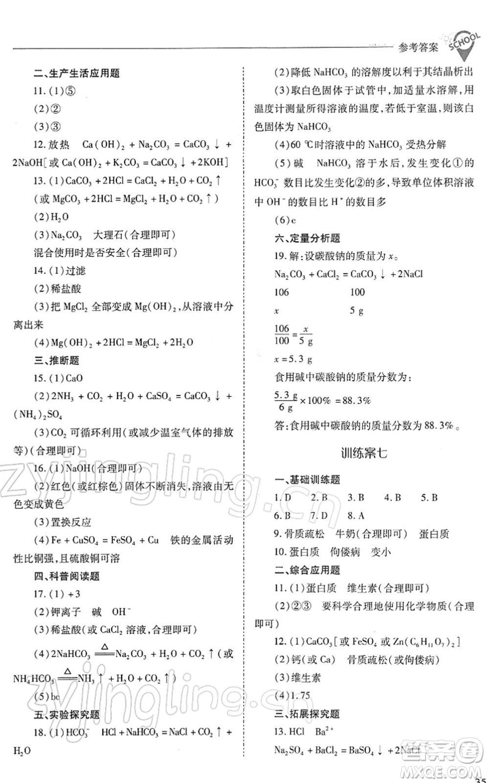 山西教育出版社2022新課程問(wèn)題解決導(dǎo)學(xué)方案九年級(jí)化學(xué)下冊(cè)滬教版答案