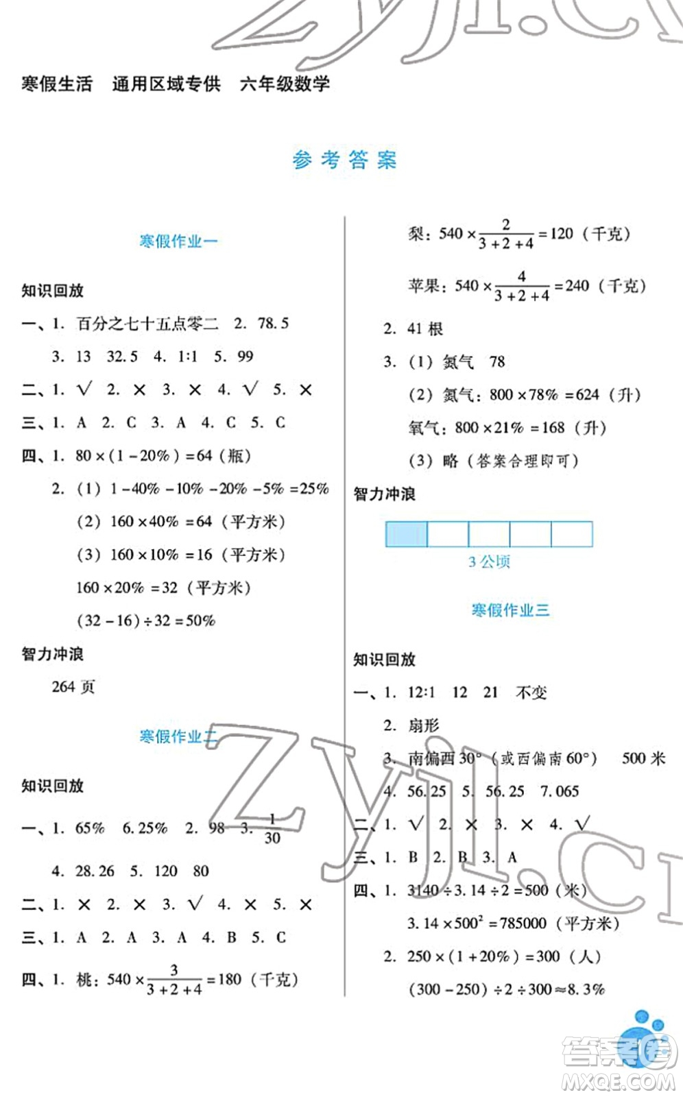 河北少年兒童出版社2022寒假生活六年級(jí)數(shù)學(xué)通用版答案