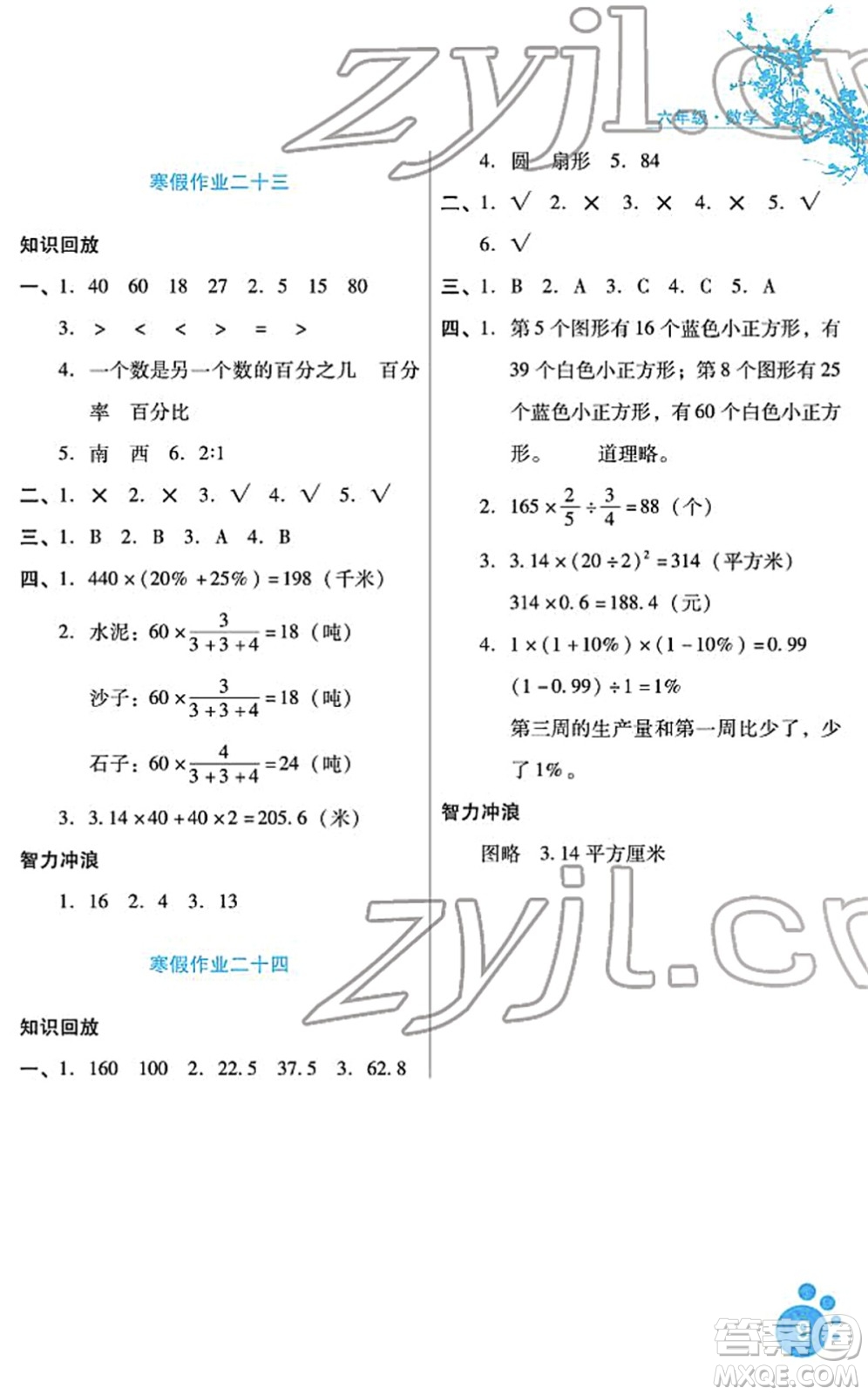 河北少年兒童出版社2022寒假生活六年級(jí)數(shù)學(xué)通用版答案