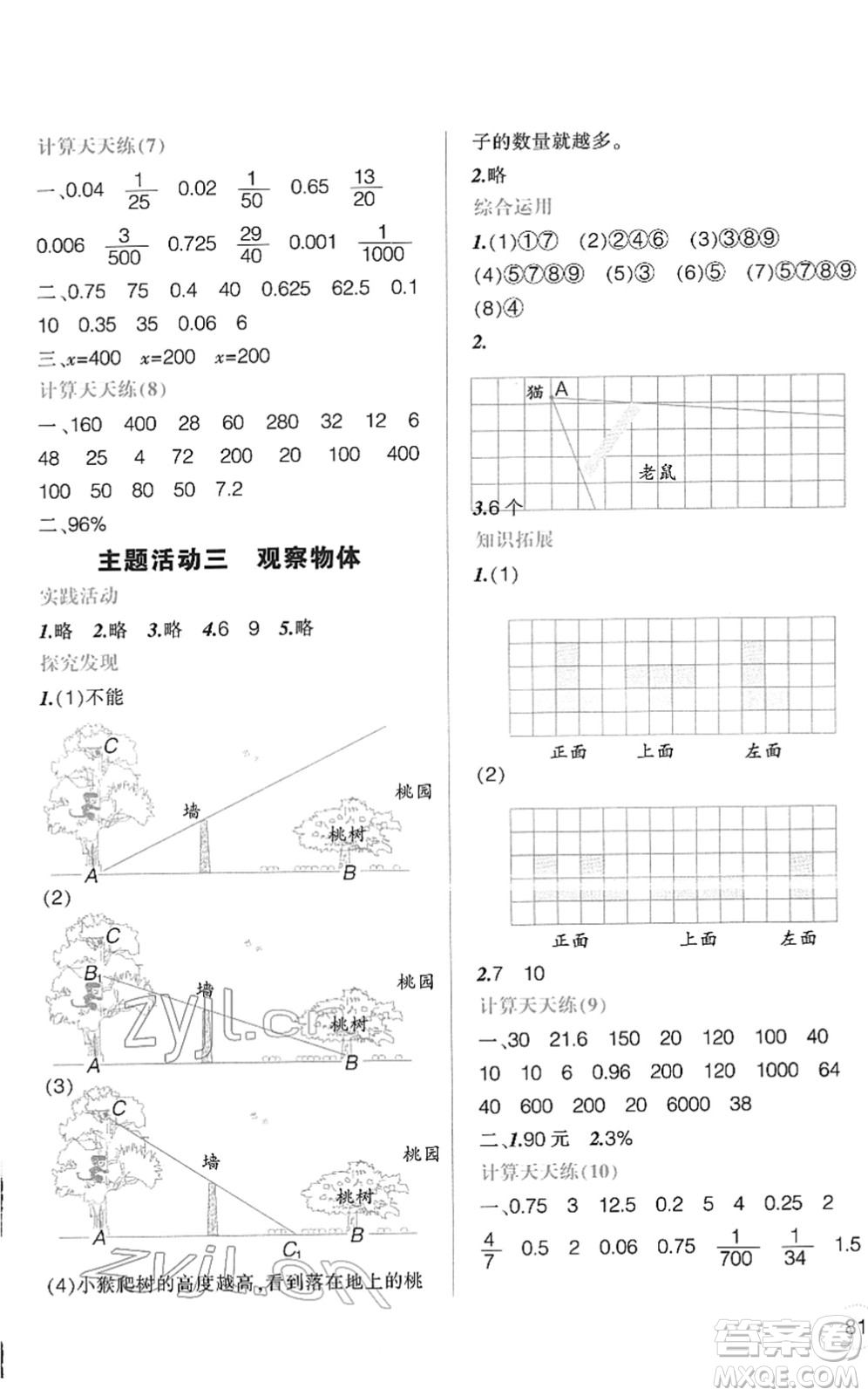 遼寧師范大學(xué)出版社2022寒假樂園六年級(jí)數(shù)學(xué)通用版答案