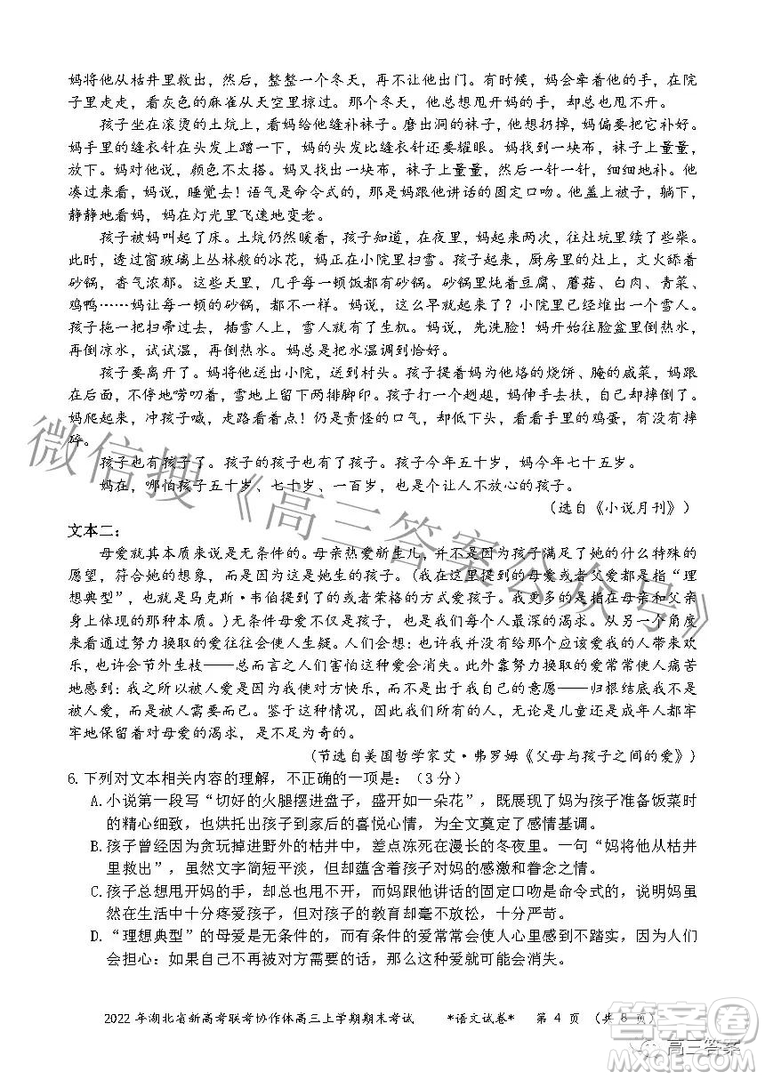 2022年湖北省新高考協(xié)作體高三上學(xué)期期末考試語(yǔ)文試卷及答案