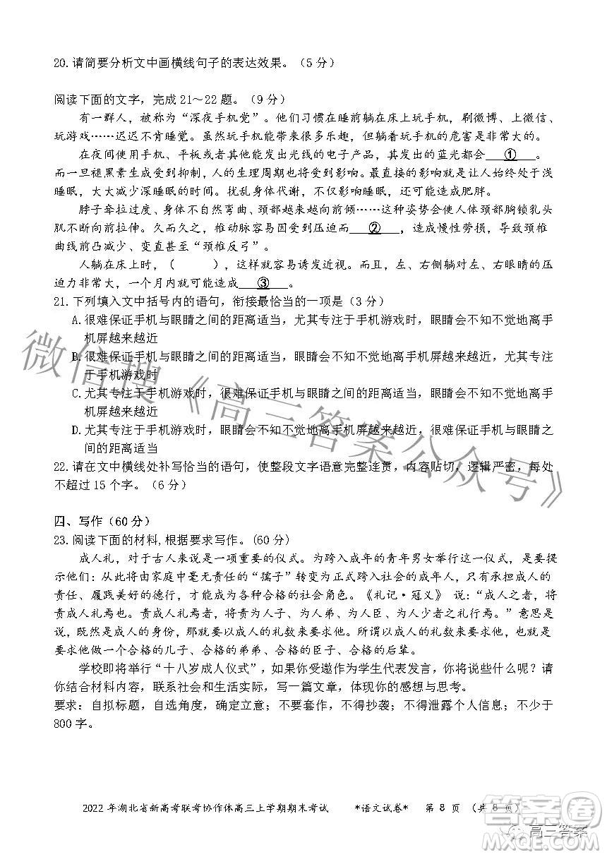 2022年湖北省新高考協(xié)作體高三上學(xué)期期末考試語(yǔ)文試卷及答案