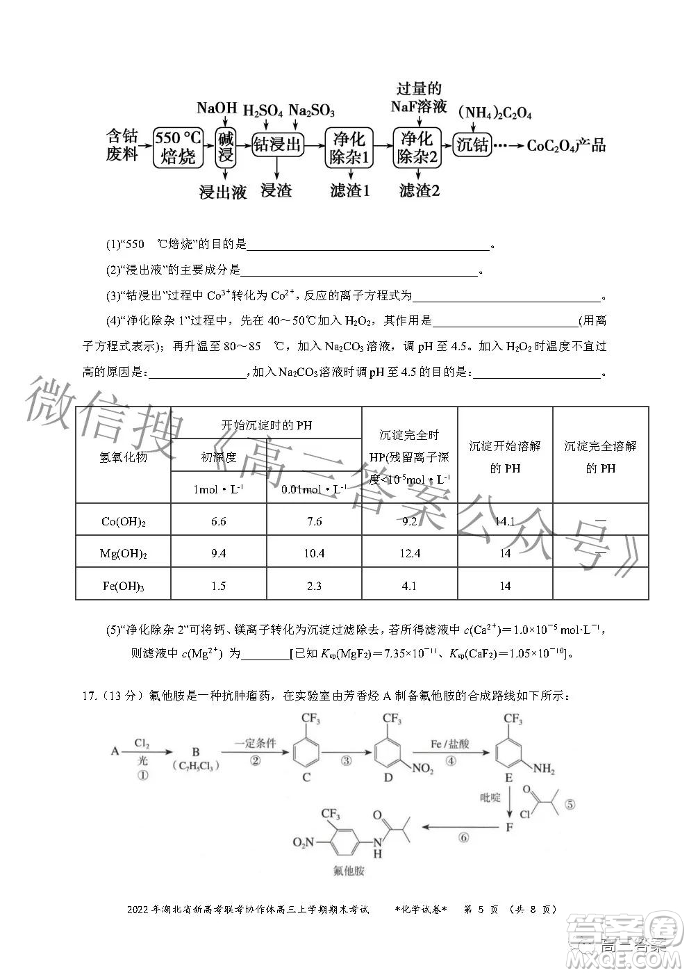 2022年湖北省新高考協(xié)作體高三上學(xué)期期末考試化學(xué)試卷及答案